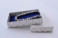 /album/estuches/csc0494-jpg/