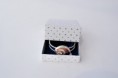 /album/estuches/csc0499-jpg/